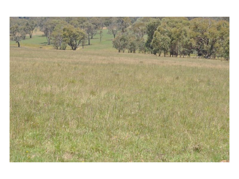 Tamworth NSW 2340