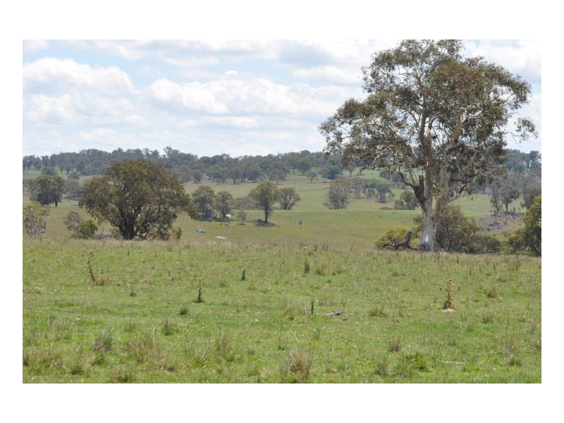 Tamworth NSW 2340