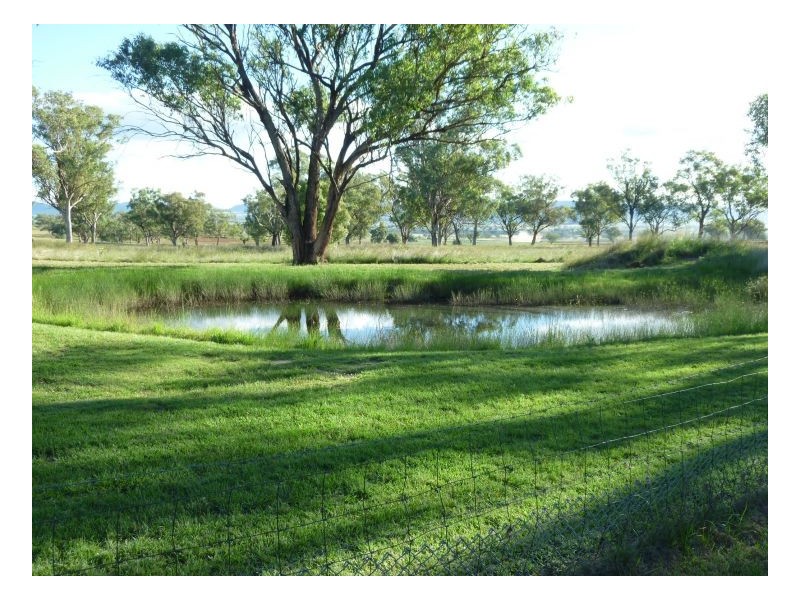 MAGGIES GLEN – Winton, Tamworth NSW 2340