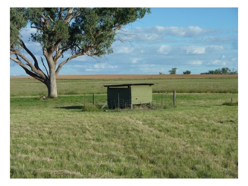 MAGGIES GLEN – Winton, Tamworth NSW 2340