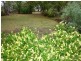 MAGGIES GLEN – Winton, Tamworth NSW 2340