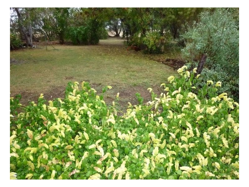 MAGGIES GLEN – Winton, Tamworth NSW 2340
