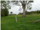5024 CLARENCE WAY – Fineflower, Grafton NSW 2460