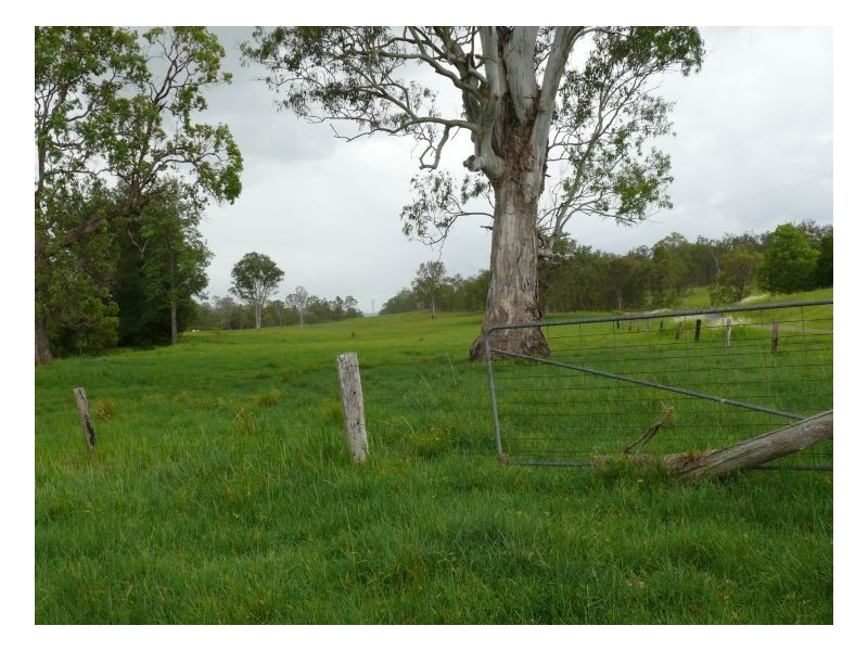 5024 CLARENCE WAY – Fineflower, Grafton NSW 2460