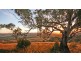Tamworth NSW 2340