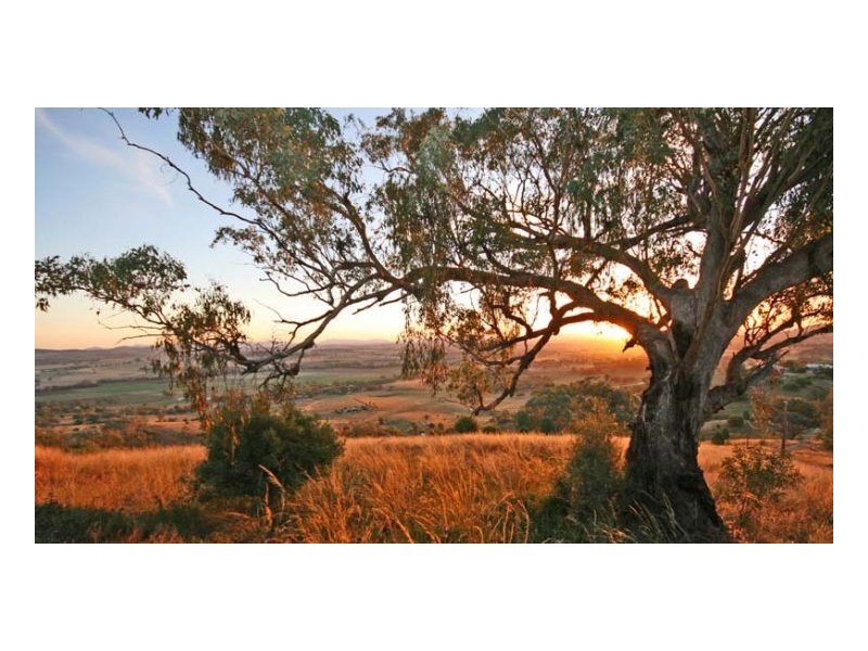 Tamworth NSW 2340