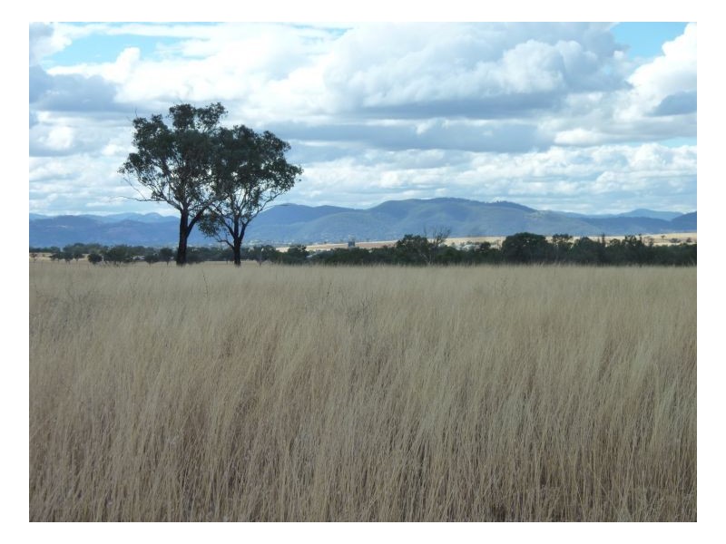 “DURAL PARK” – Warral, Tamworth NSW 2340