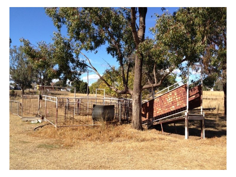Tamworth NSW 2340