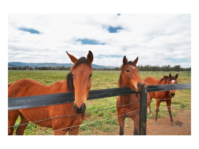 KURRAJONG – Attunga, Tamworth NSW 2340