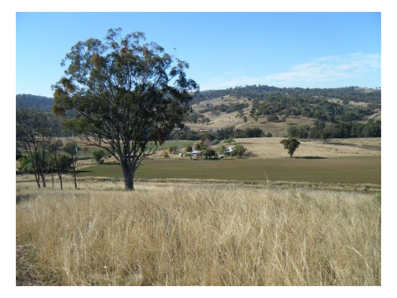 TOWER HILL – Barraba, Tamworth NSW 2340