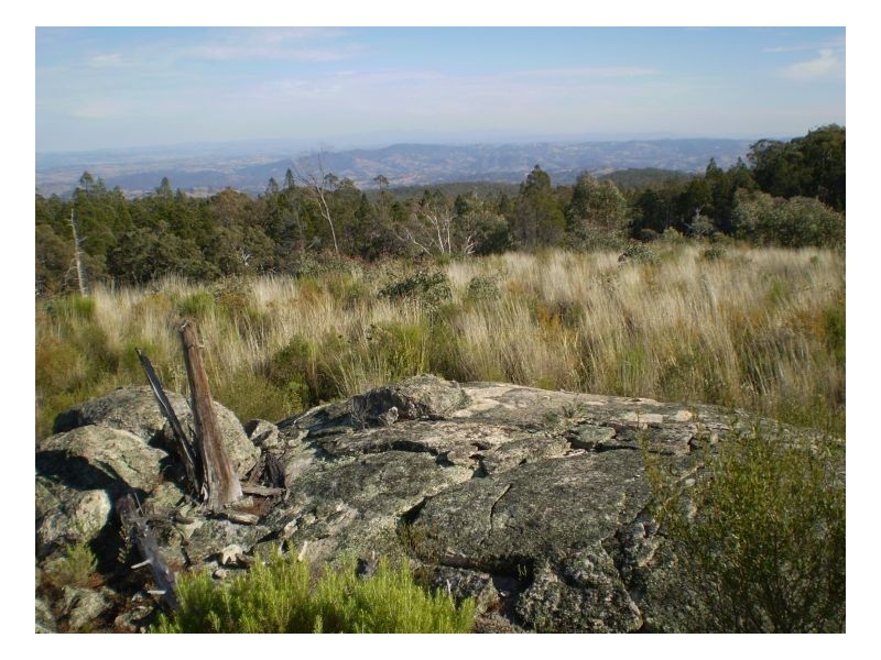 THISTLE CROFT – Barraba, Tamworth NSW 2340