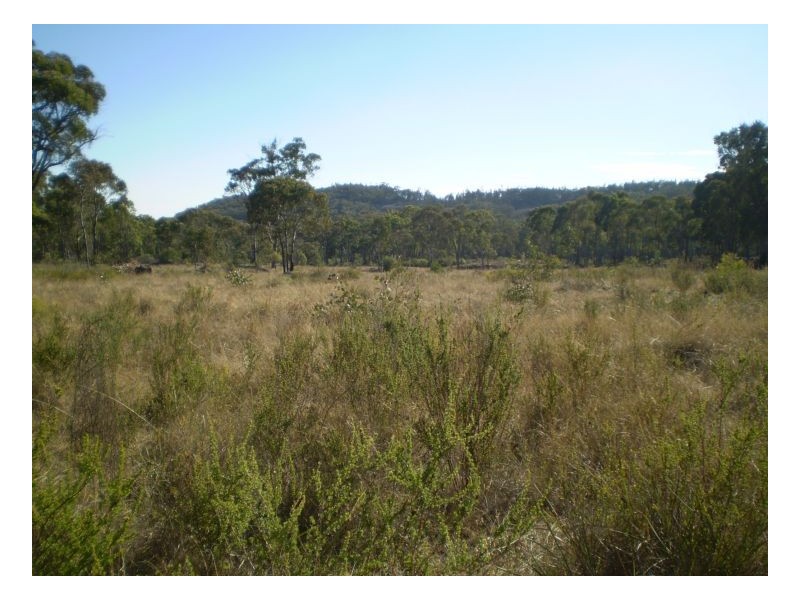 THISTLE CROFT – Barraba, Tamworth NSW 2340