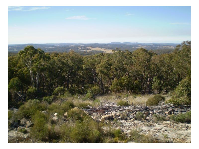 THISTLE CROFT – Barraba, Tamworth NSW 2340