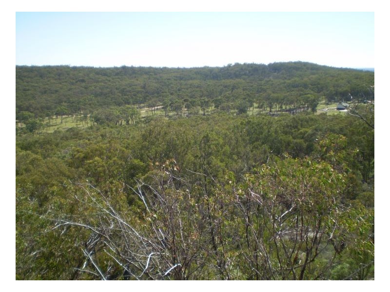 THISTLE CROFT – Barraba, Tamworth NSW 2340