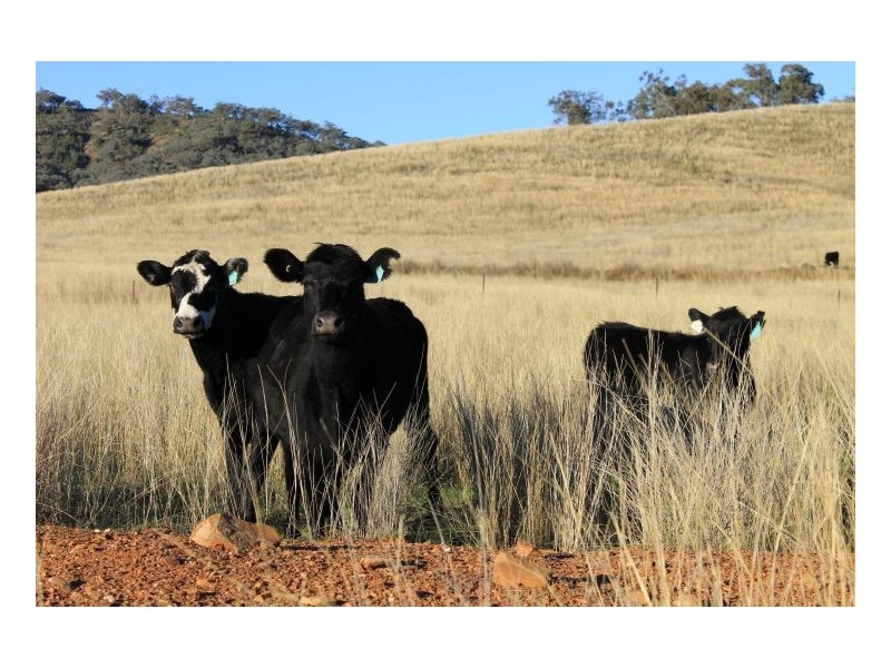 RIVERBEND – Manilla, Tamworth NSW 2340