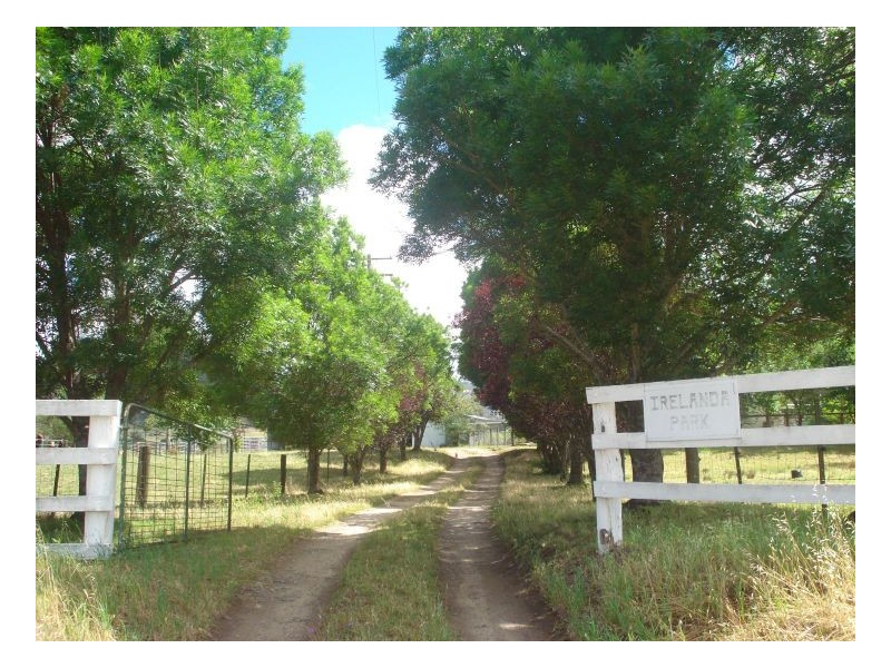 IRELANDA PARK – Moonbi, Tamworth NSW 2340