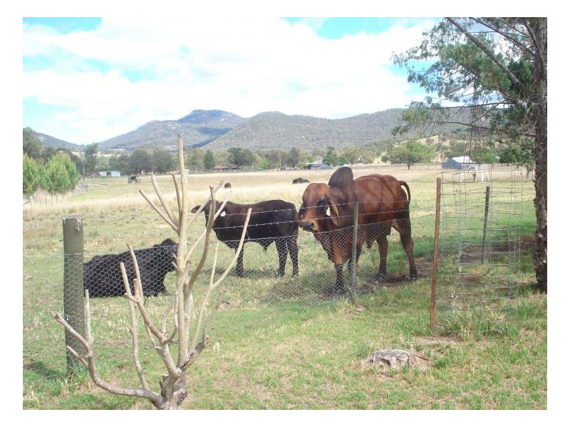 IRELANDA PARK – Moonbi, Tamworth NSW 2340