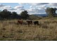 VALLEY VIEW – Loomberah, Tamworth NSW 2340