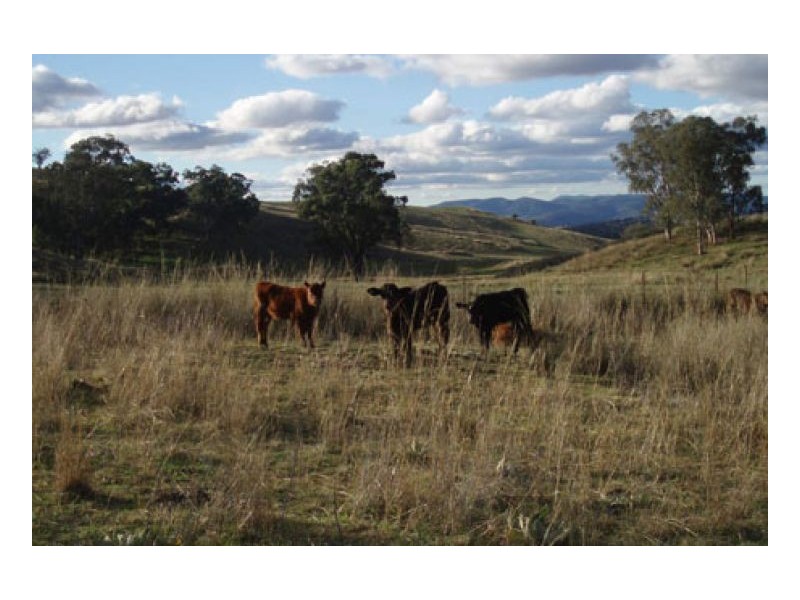 VALLEY VIEW – Loomberah, Tamworth NSW 2340