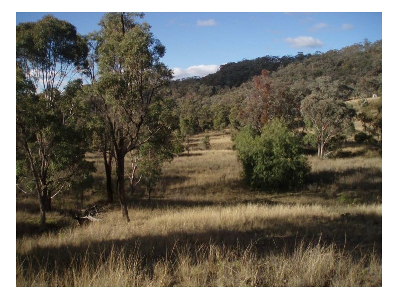 VALLEY VIEW – Loomberah, Tamworth NSW 2340