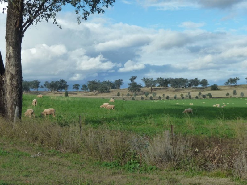 ROSEVILLE PARK, Tamworth NSW 2340