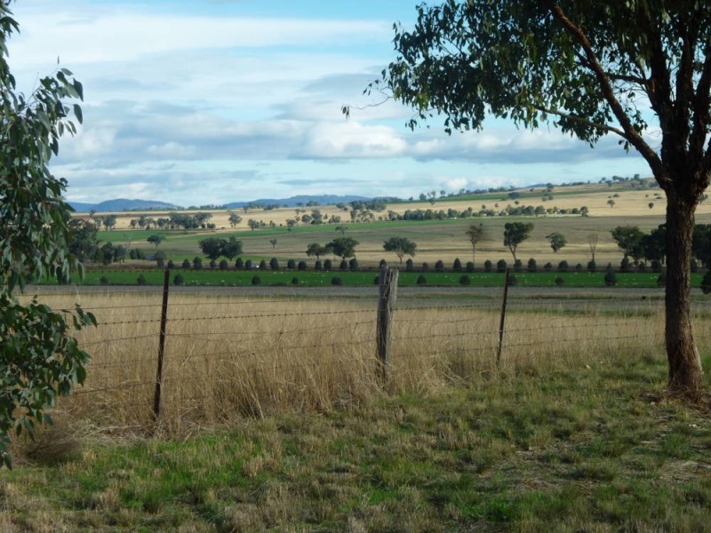 ROSEVILLE PARK, Tamworth NSW 2340