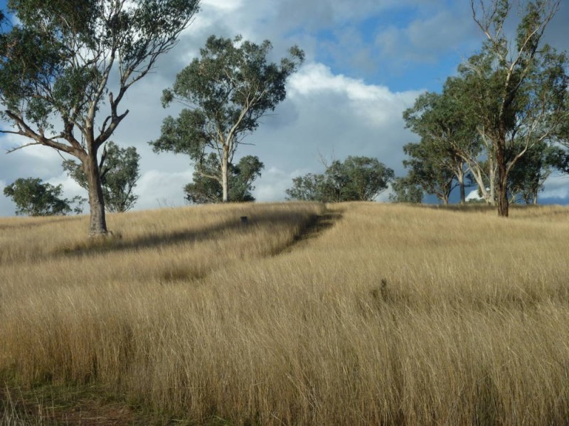 ROSEVILLE PARK, Tamworth NSW 2340