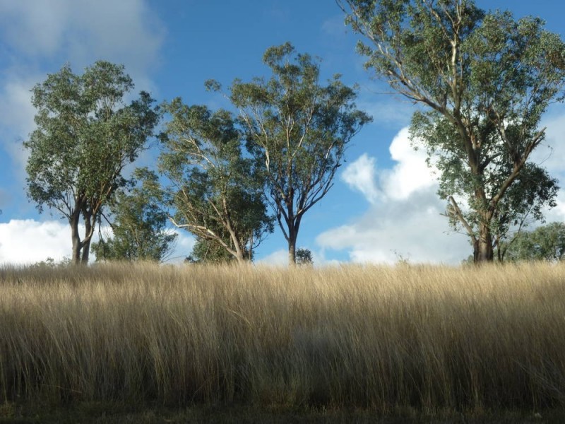 ROSEVILLE PARK, Tamworth NSW 2340