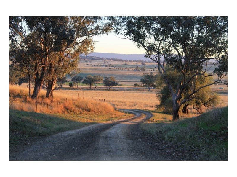 WERRIBEE PARK, Tamworth NSW 2340