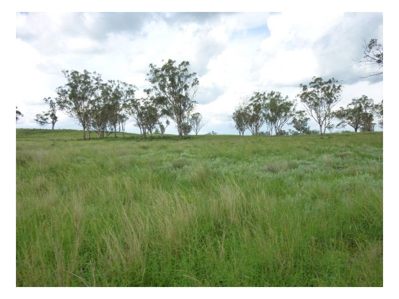 WERRIBEE PARK, Tamworth NSW 2340