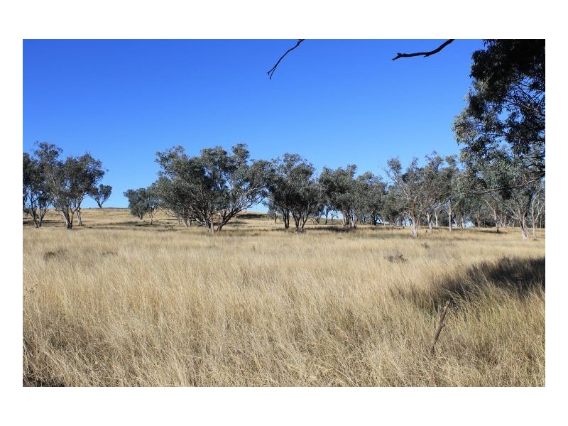 WERRIBEE PARK, Tamworth NSW 2340