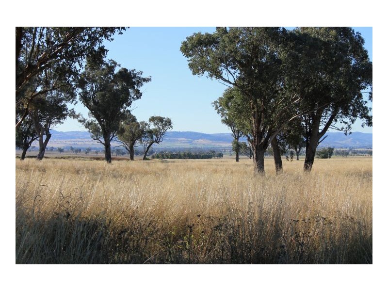 WERRIBEE PARK, Tamworth NSW 2340