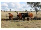 SWEETWATER, Tamworth NSW 2340