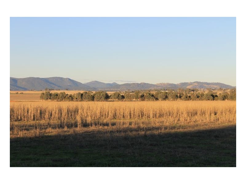 SWEETWATER, Tamworth NSW 2340