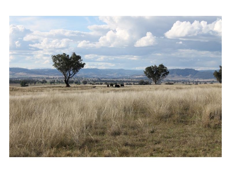 SWEETWATER, Tamworth NSW 2340