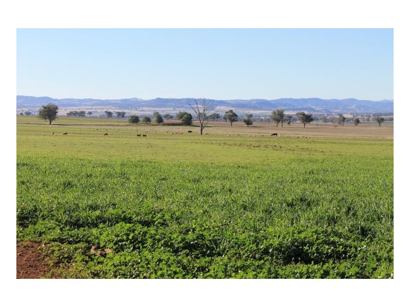 SWEETWATER, Tamworth NSW 2340