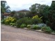 BEAUMONT – Currabubula, Tamworth NSW 2340
