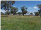 BEAUMONT – Currabubula, Tamworth NSW 2340