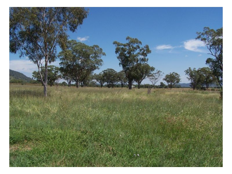 BEAUMONT – Currabubula, Tamworth NSW 2340