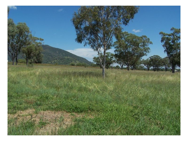 BEAUMONT – Currabubula, Tamworth NSW 2340