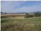 PIALLAWAY – Currabubula, Tamworth NSW 2340