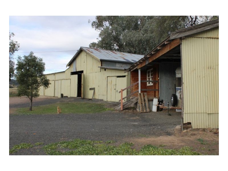 PIALLAWAY – Currabubula, Tamworth NSW 2340