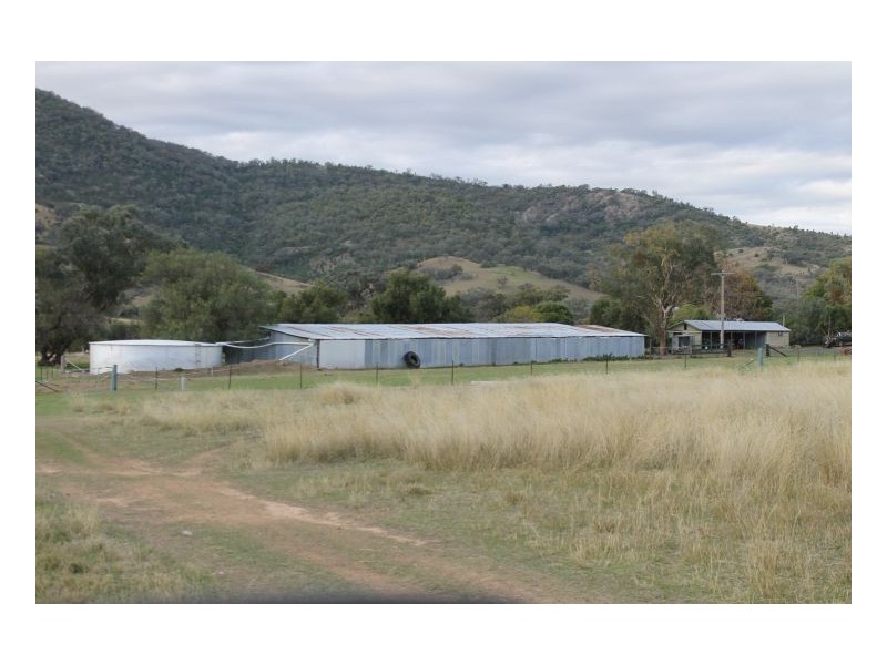 PIALLAWAY – Currabubula, Tamworth NSW 2340