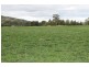 PIALLAWAY – Currabubula, Tamworth NSW 2340