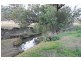 PIALLAWAY – Currabubula, Tamworth NSW 2340