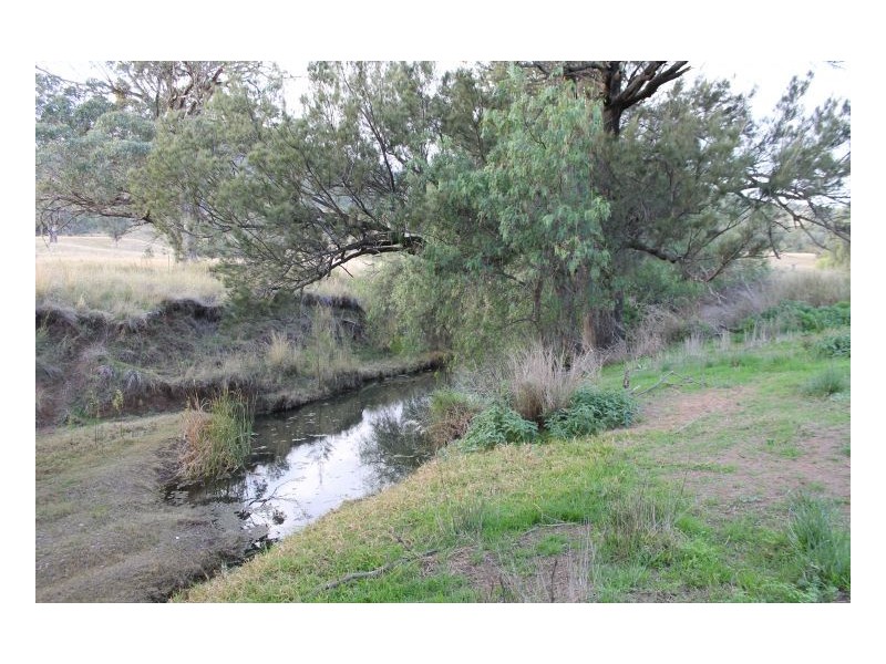 PIALLAWAY – Currabubula, Tamworth NSW 2340