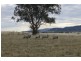 PIALLAWAY – Currabubula, Tamworth NSW 2340