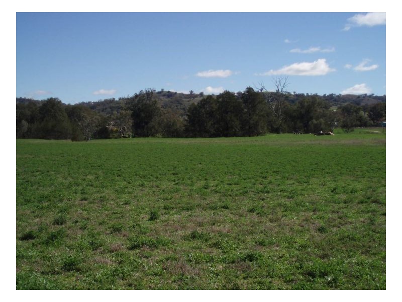 BELMONT – Attunga, Tamworth NSW 2340