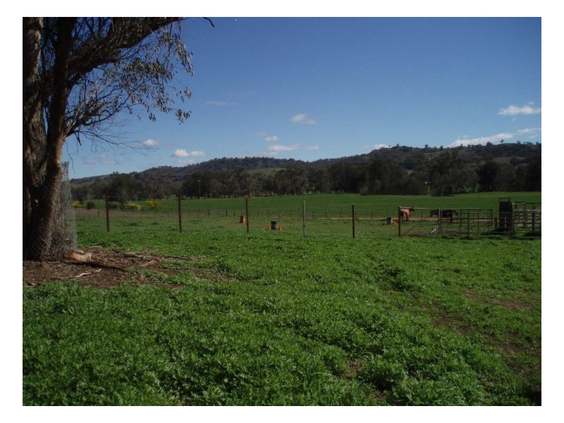 BELMONT – Attunga, Tamworth NSW 2340