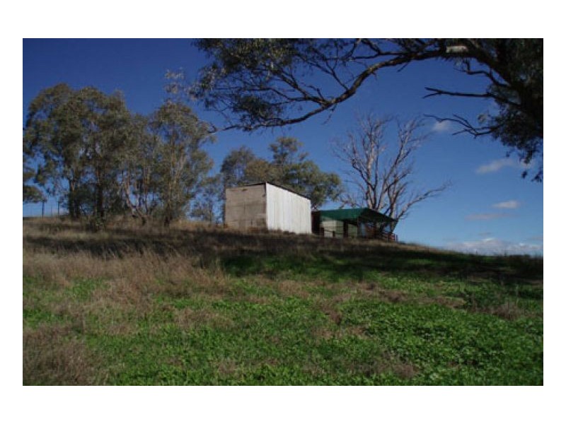 BELMONT – Attunga, Tamworth NSW 2340